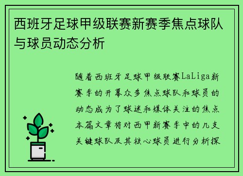 西班牙足球甲级联赛新赛季焦点球队与球员动态分析